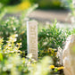 Pflanzstecker aus Beton im Kräuterbeet zwischen Pflanzen und Natursteinen im Garten.