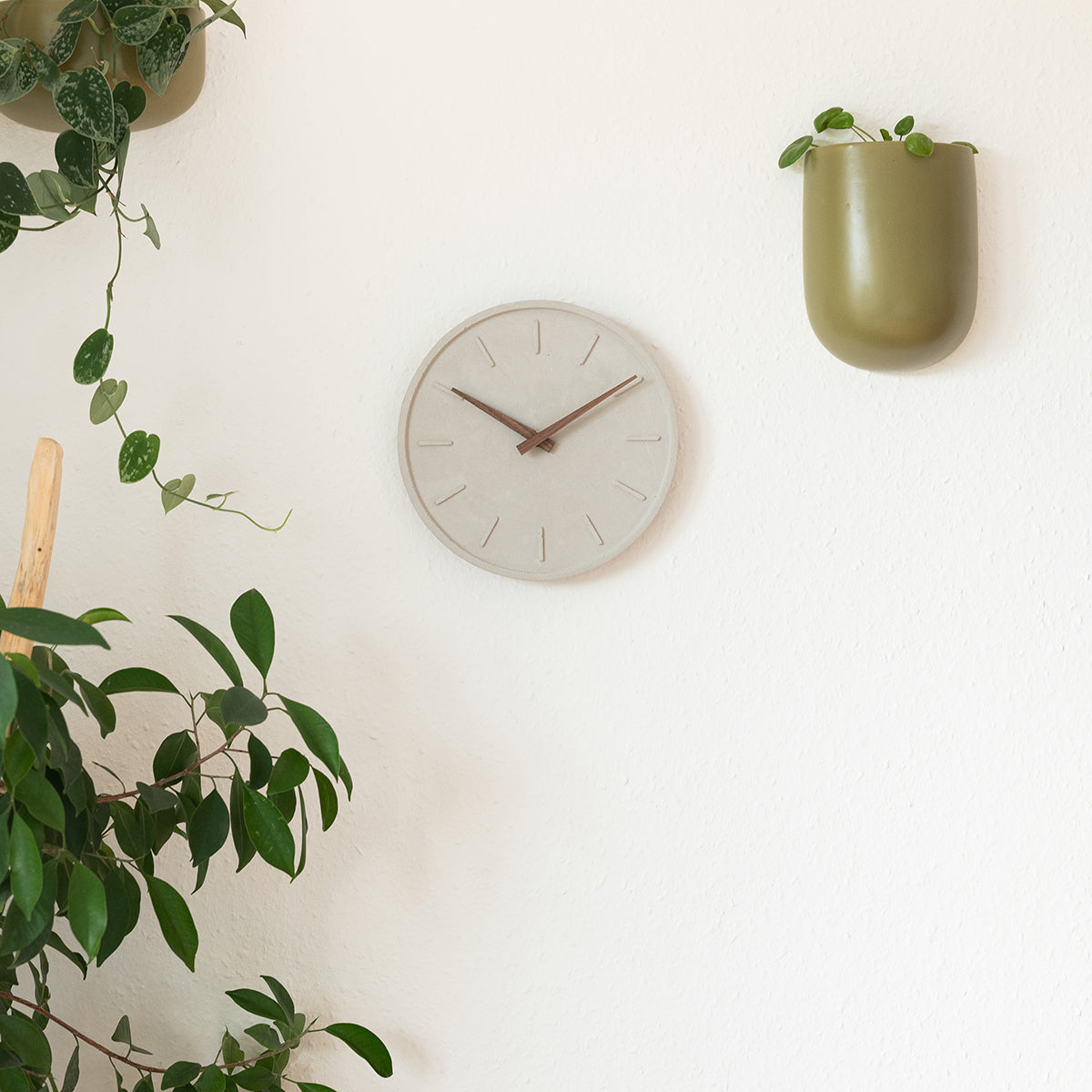 graue skandinavische Wanduhr aus Sichtbeton neben hängeden Pflanztöpfen.