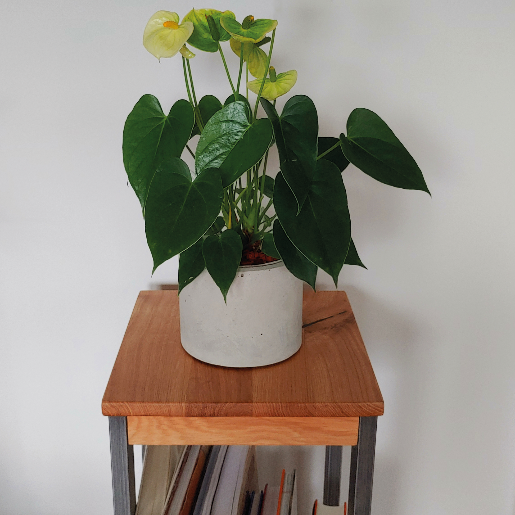 hellgrauer Blumentopf mit Zimmerpflanze, Flamingoblume auf Pflanzständer aus Holz.