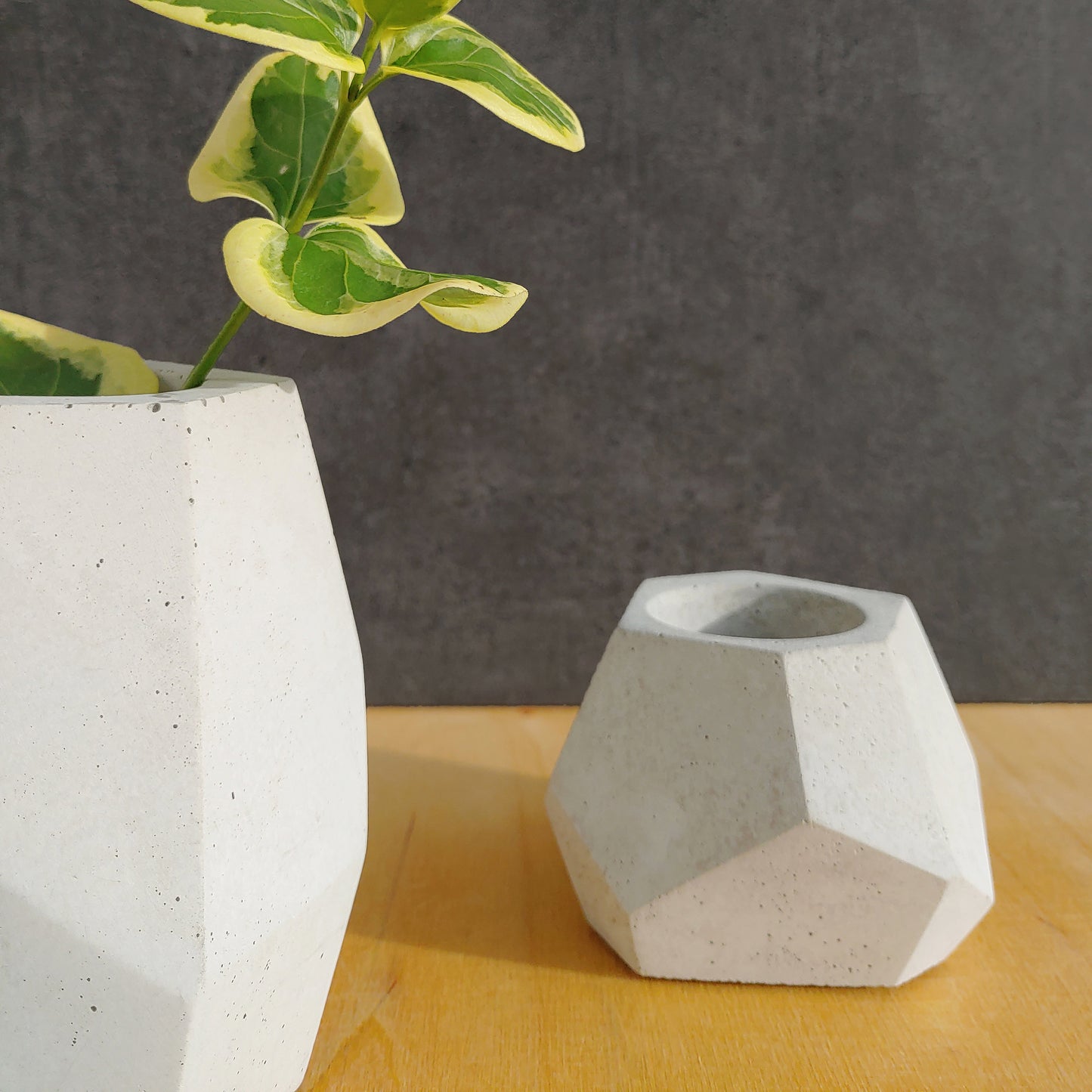 Das Bild zeigt eine Vase aus Beton für Blumen/Zweige als Dekoration. Die Betonvase wirkt durch ihre asymetrische Formgebung zeitlos und modern und verleiht deinem Wohnraum eine besonders schöne Athmosphäre. Perfekt geeignet als Einweihungsgeschenk oder als Muttertagsgesche● minimalistisches Design ● von jeder Seite ein Unikat ● mit praktischem Glaseinsatz erhältlich ● flächiger Filz gegen Zerkratzen ● natürliche Haptik ● handgefertigt ● made in Germany ● nachhaltig versendet